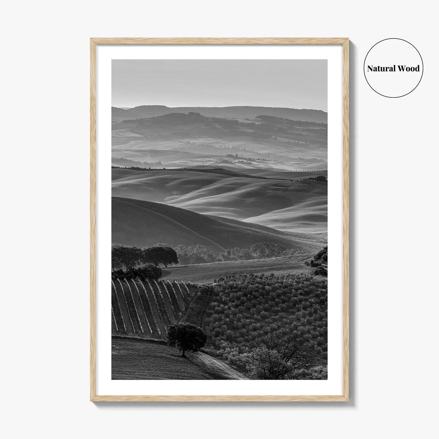 Tuscany Hills Black and White Fine Art Photo Print, Italy Landscape Wall Decor