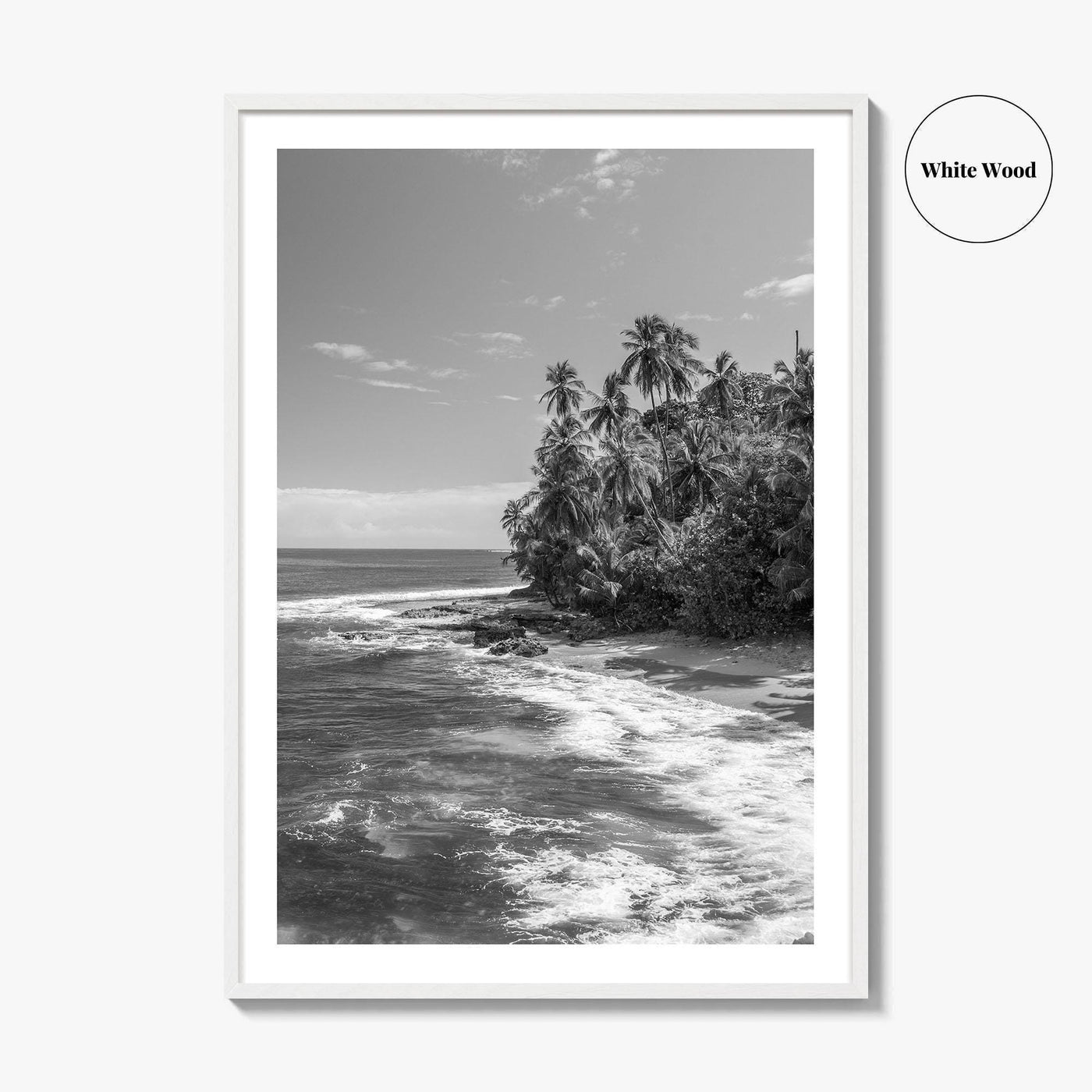 Costa Rica Black and White Fine Art Photo Print, Manzanillo Caribbean Puerto Viejo Poster