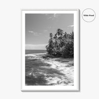 Costa Rica Black and White Fine Art Photo Print, Manzanillo Caribbean Puerto Viejo Poster