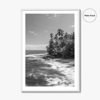 Costa Rica Black and White Fine Art Photo Print, Manzanillo Caribbean Puerto Viejo Poster