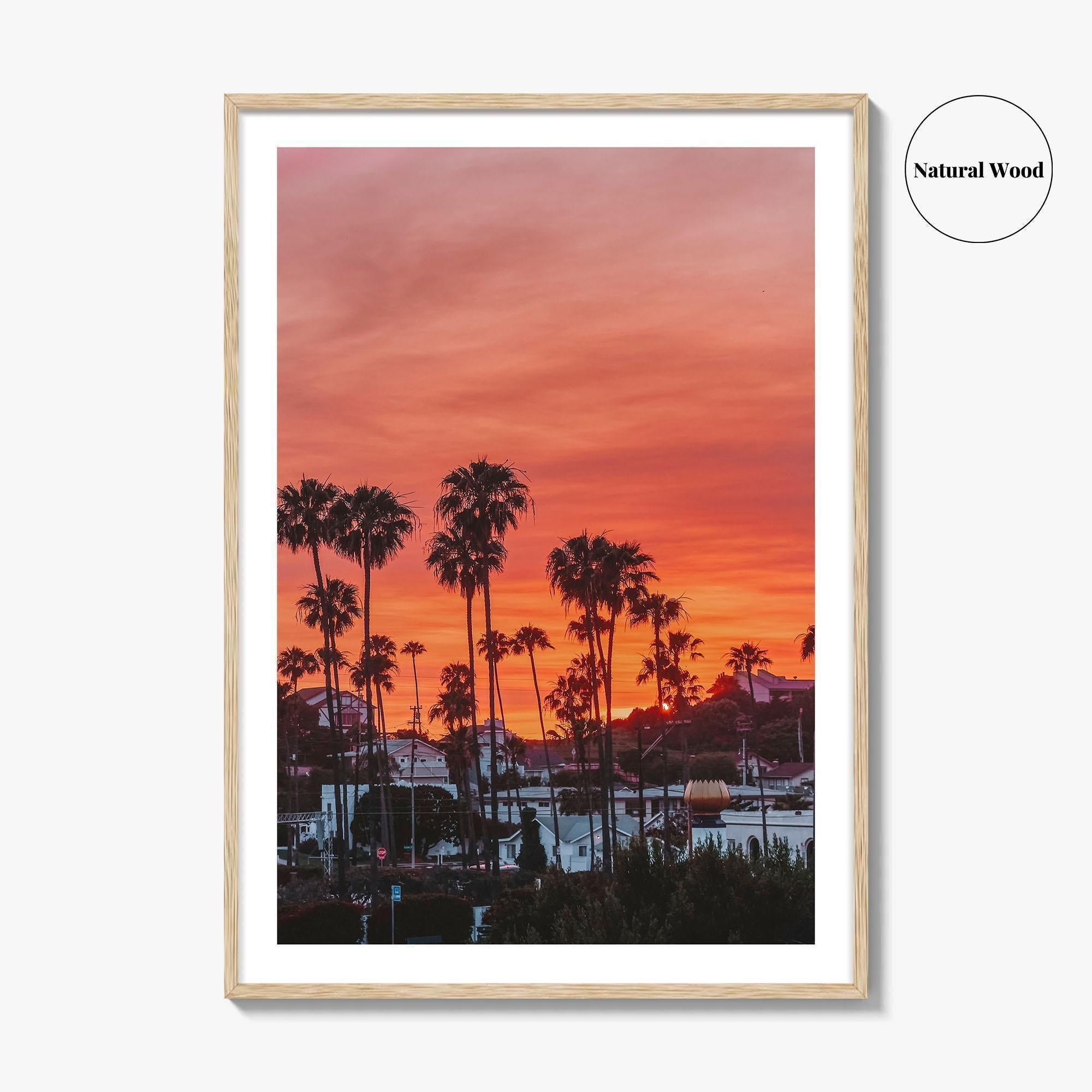 Encinitas Fine Art Photo Print, San Diego Palm Tree California Poster