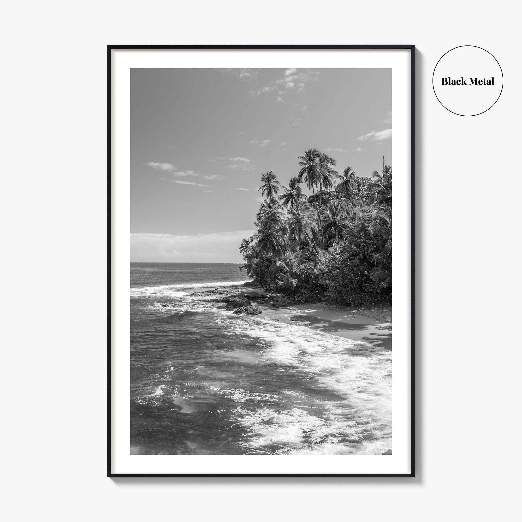 Costa Rica Black and White Fine Art Photo Print, Manzanillo Caribbean Puerto Viejo Poster