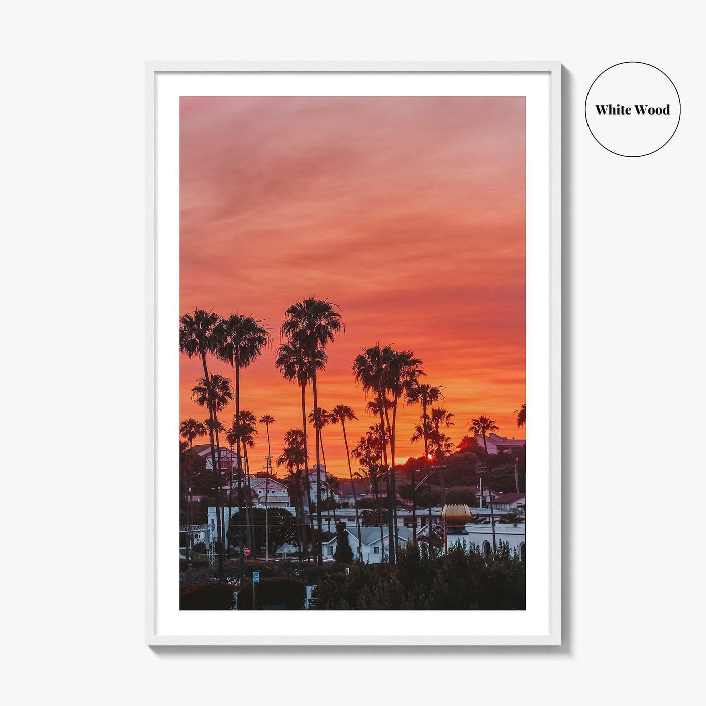 Encinitas Fine Art Photo Print, San Diego Palm Tree California Poster