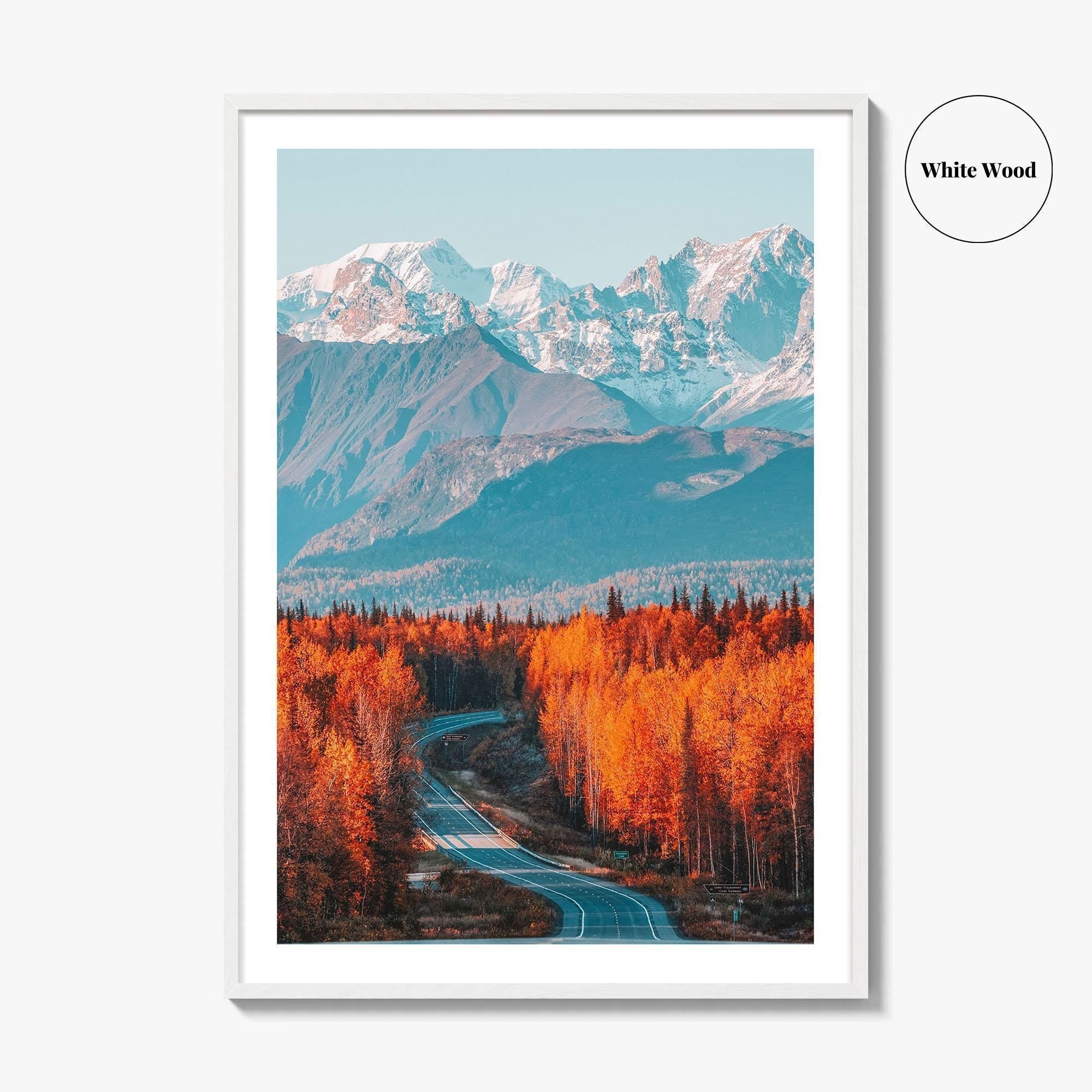 Denali Fine Art Photo Print, Mt Foraker, Alaska Range, Parks Highway, USA Poster