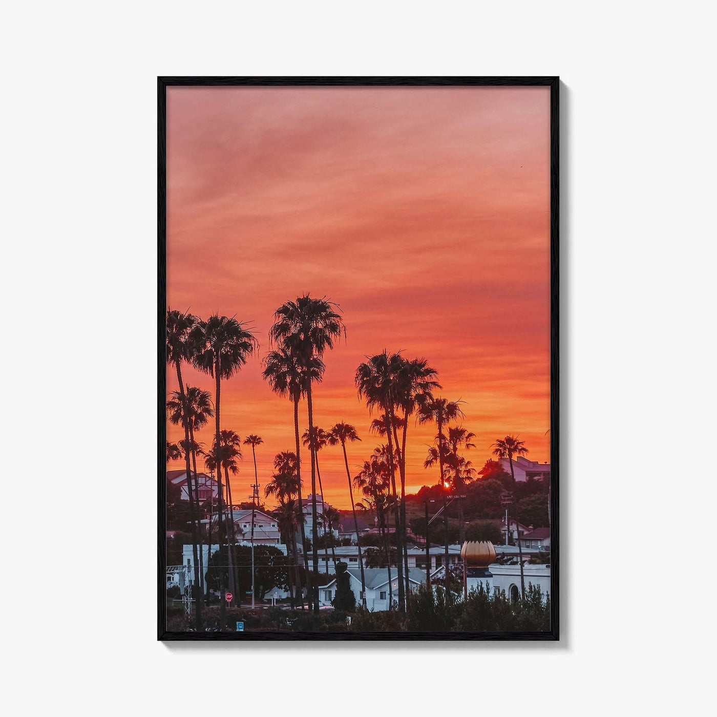 Encinitas Fine Art Photo Print, San Diego Palm Tree California Poster