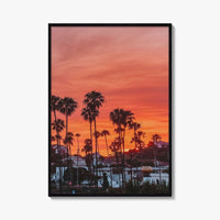 Encinitas Fine Art Photo Print, San Diego Palm Tree California Poster