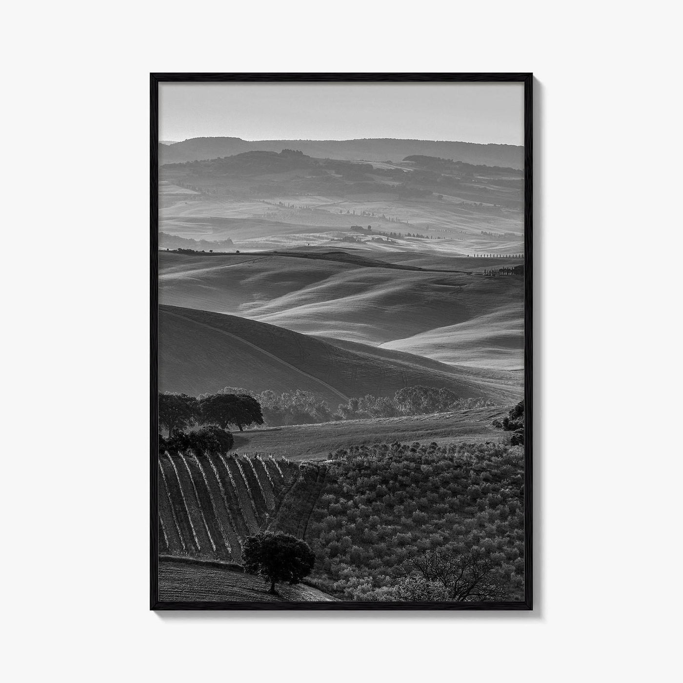 Tuscany Hills Black and White Fine Art Photo Print, Italy Landscape Wall Decor