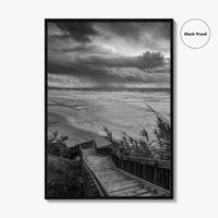 Encinitas Black and White Fine Art Photo Print, San Elijo State Beach, California Poster