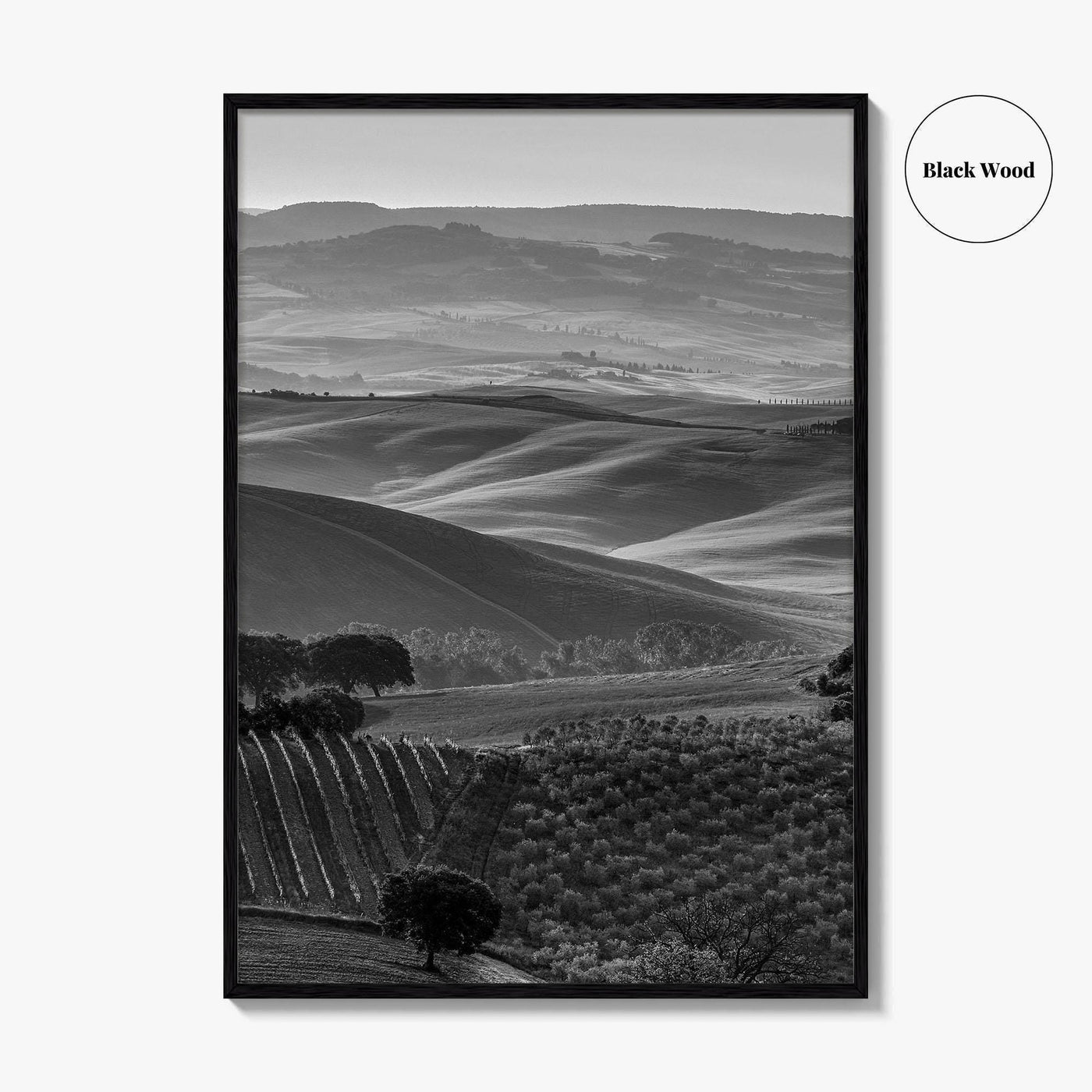 Tuscany Hills Black and White Fine Art Photo Print, Italy Landscape Wall Decor