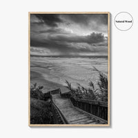 Encinitas Black and White Fine Art Photo Print, San Elijo State Beach, California Poster