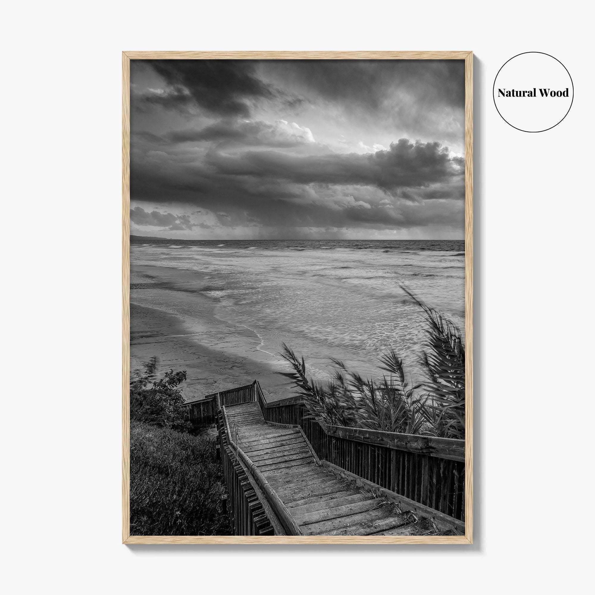 Encinitas Black and White Fine Art Photo Print, San Elijo State Beach, California Poster