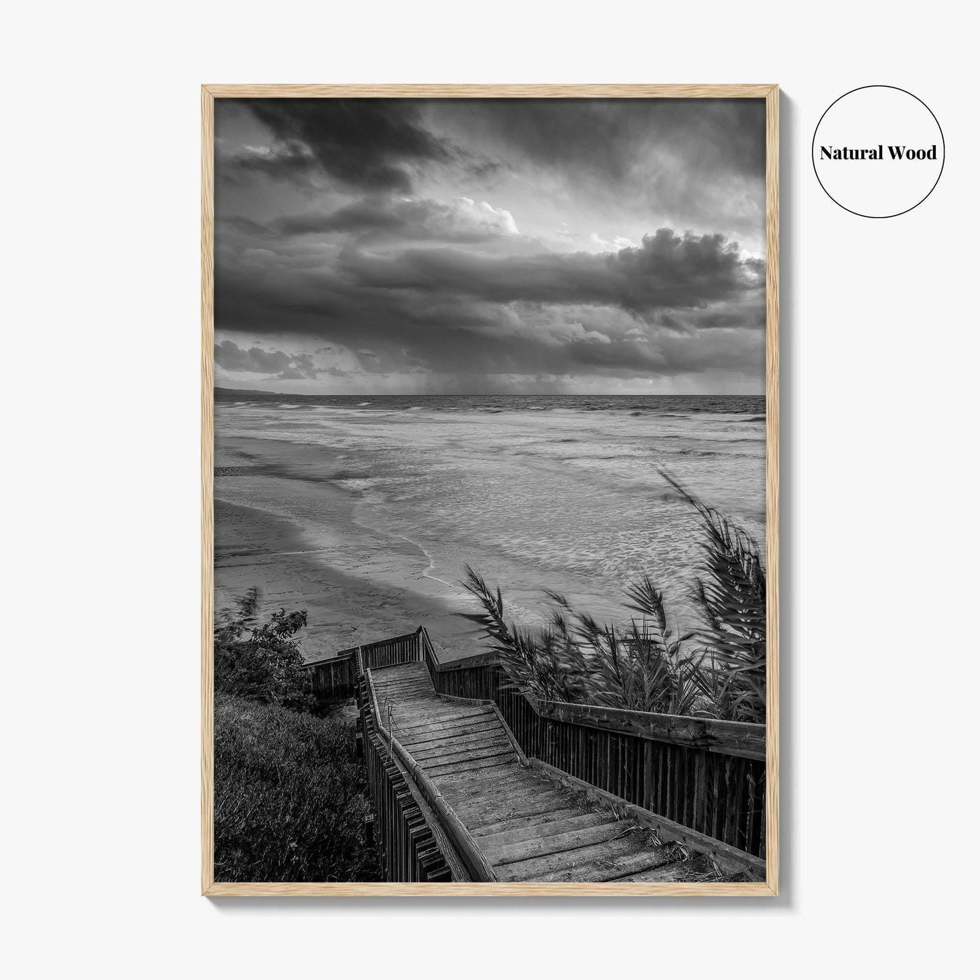 Encinitas Black and White Fine Art Photo Print, San Elijo State Beach, California Poster