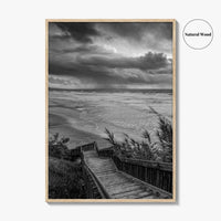Encinitas Black and White Fine Art Photo Print, San Elijo State Beach, California Poster