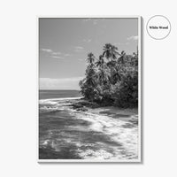 Costa Rica Black and White Fine Art Photo Print, Manzanillo Caribbean Puerto Viejo Poster