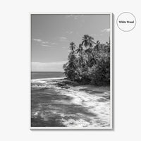 Costa Rica Black and White Fine Art Photo Print, Manzanillo Caribbean Puerto Viejo Poster