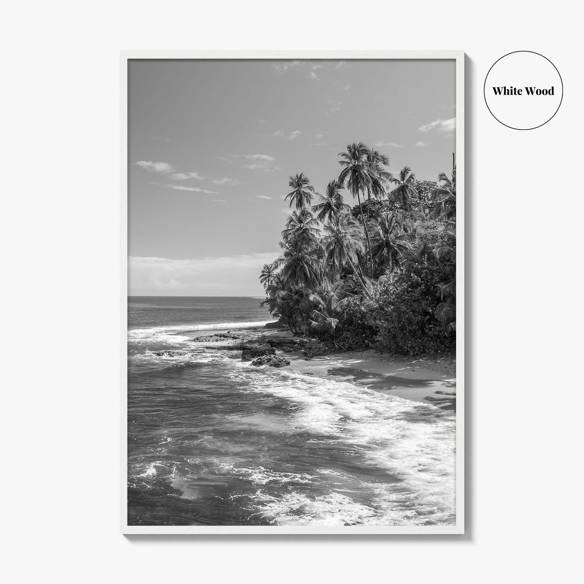 Costa Rica Black and White Fine Art Photo Print, Manzanillo Caribbean Puerto Viejo Poster