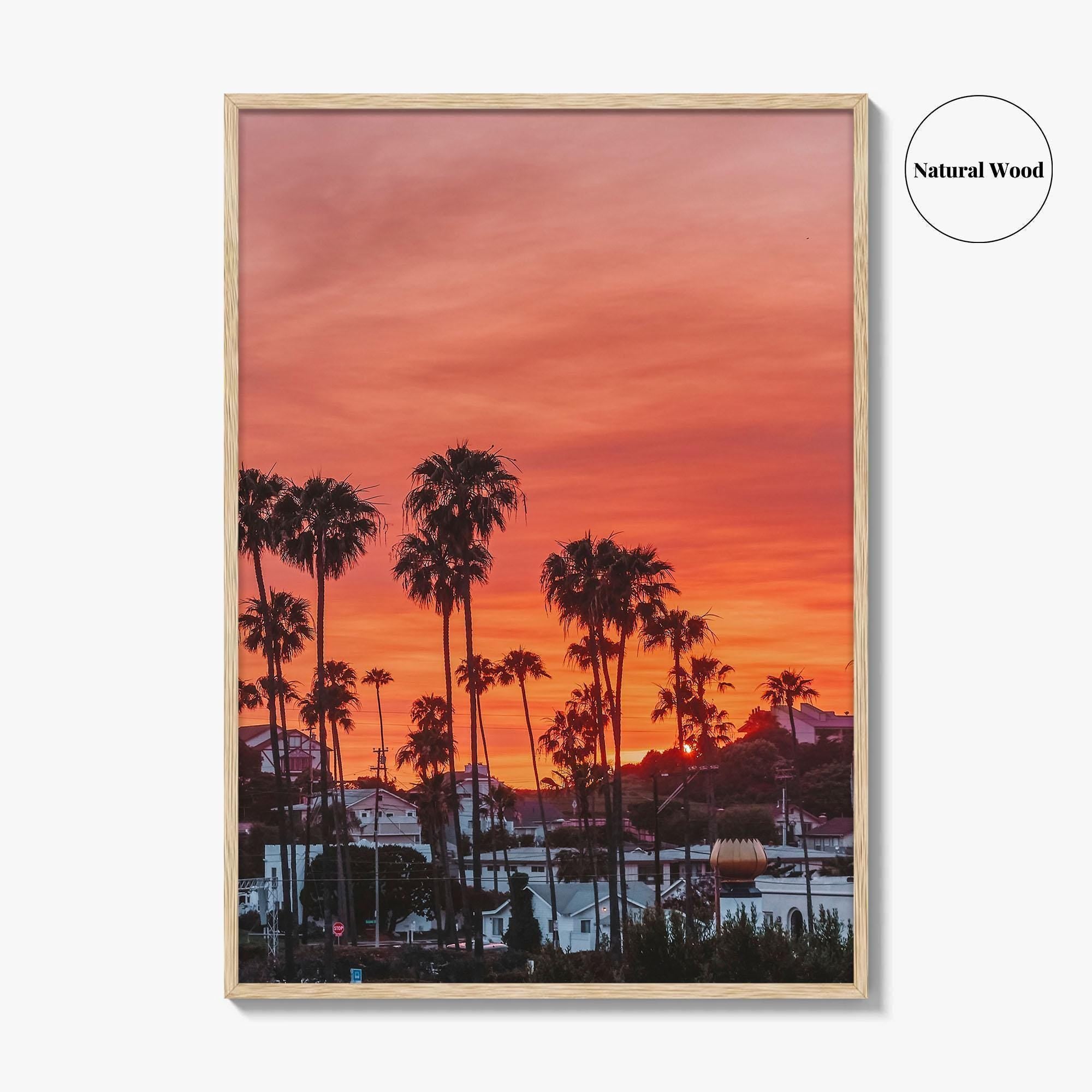 Encinitas Fine Art Photo Print, San Diego Palm Tree California Poster
