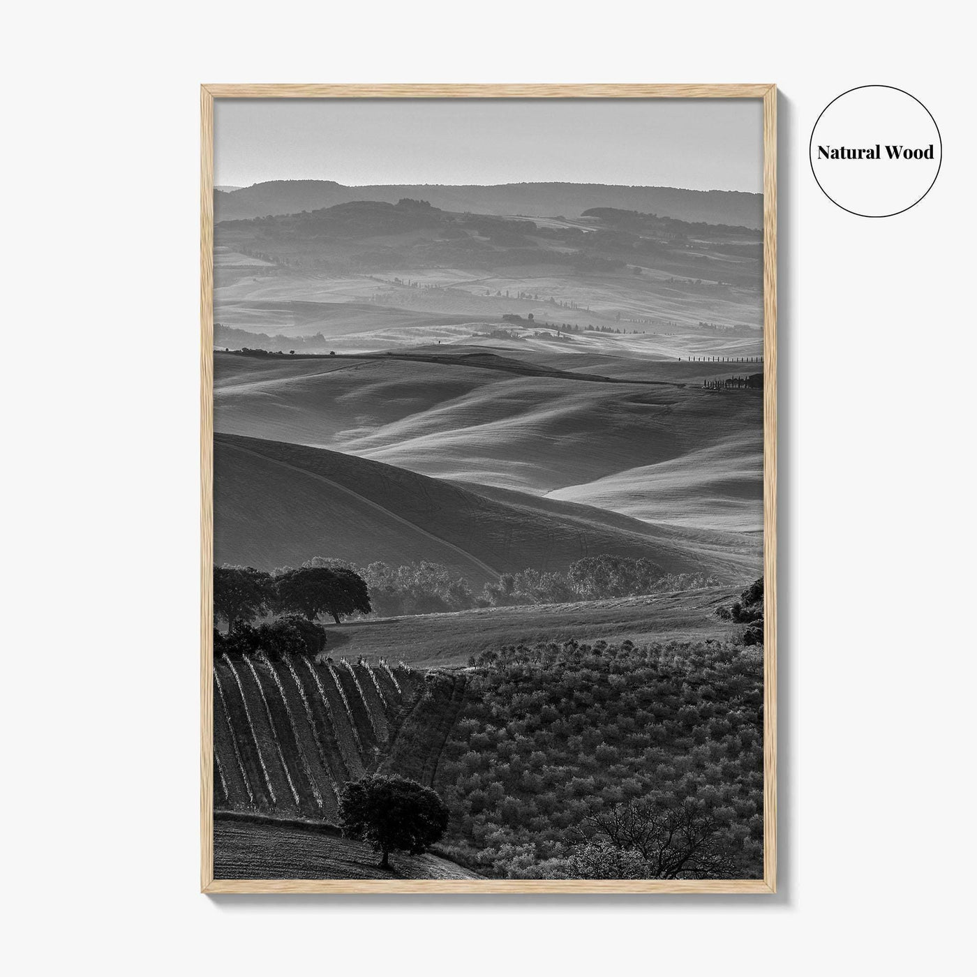 Tuscany Hills Black and White Fine Art Photo Print, Italy Landscape Wall Decor