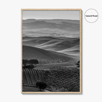 Tuscany Hills Black and White Fine Art Photo Print, Italy Landscape Wall Decor