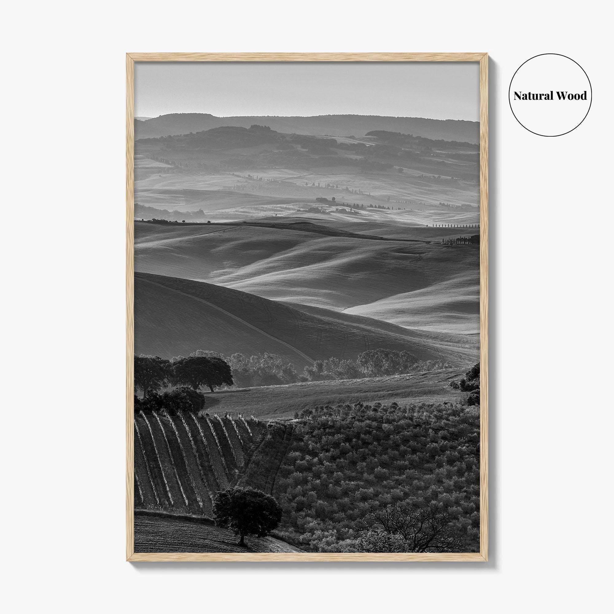 Tuscany Hills Black and White Fine Art Photo Print, Italy Landscape Wall Decor