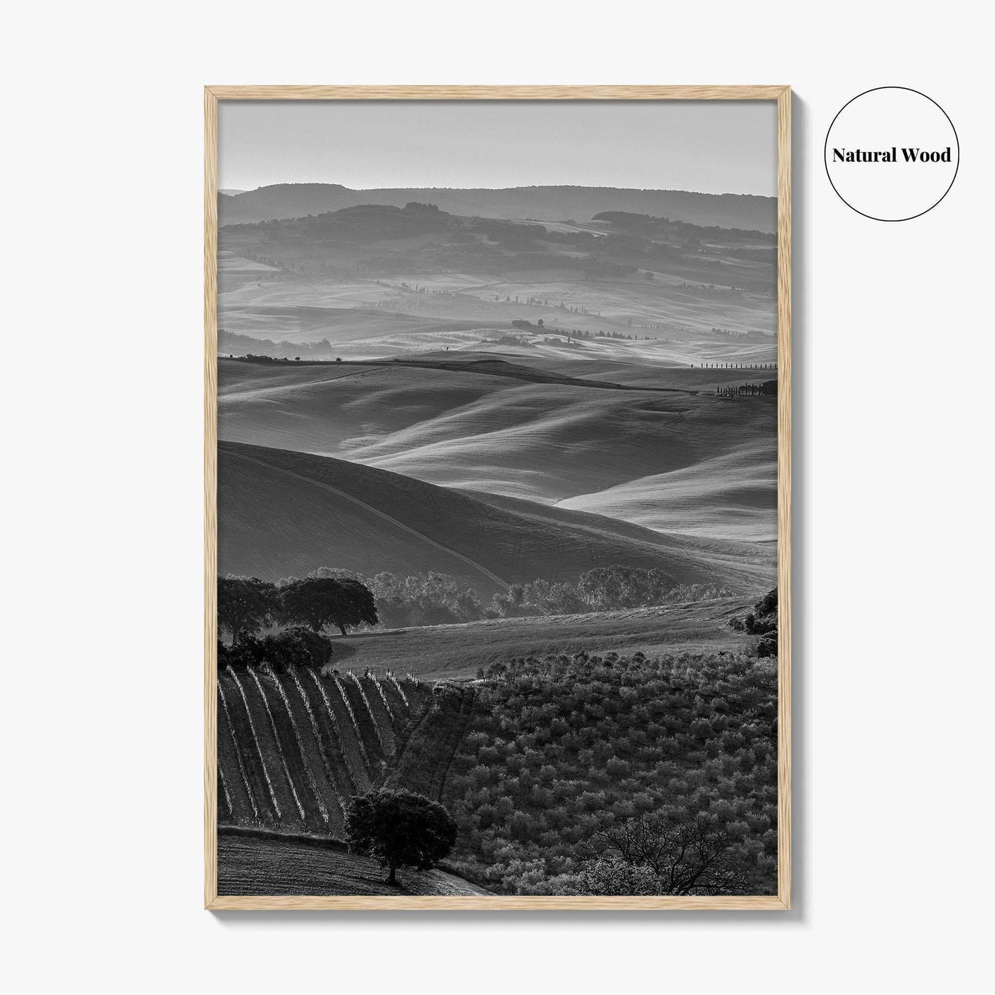 Tuscany Hills Black and White Fine Art Photo Print, Italy Landscape Wall Decor