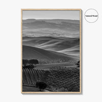 Tuscany Hills Black and White Fine Art Photo Print, Italy Landscape Wall Decor