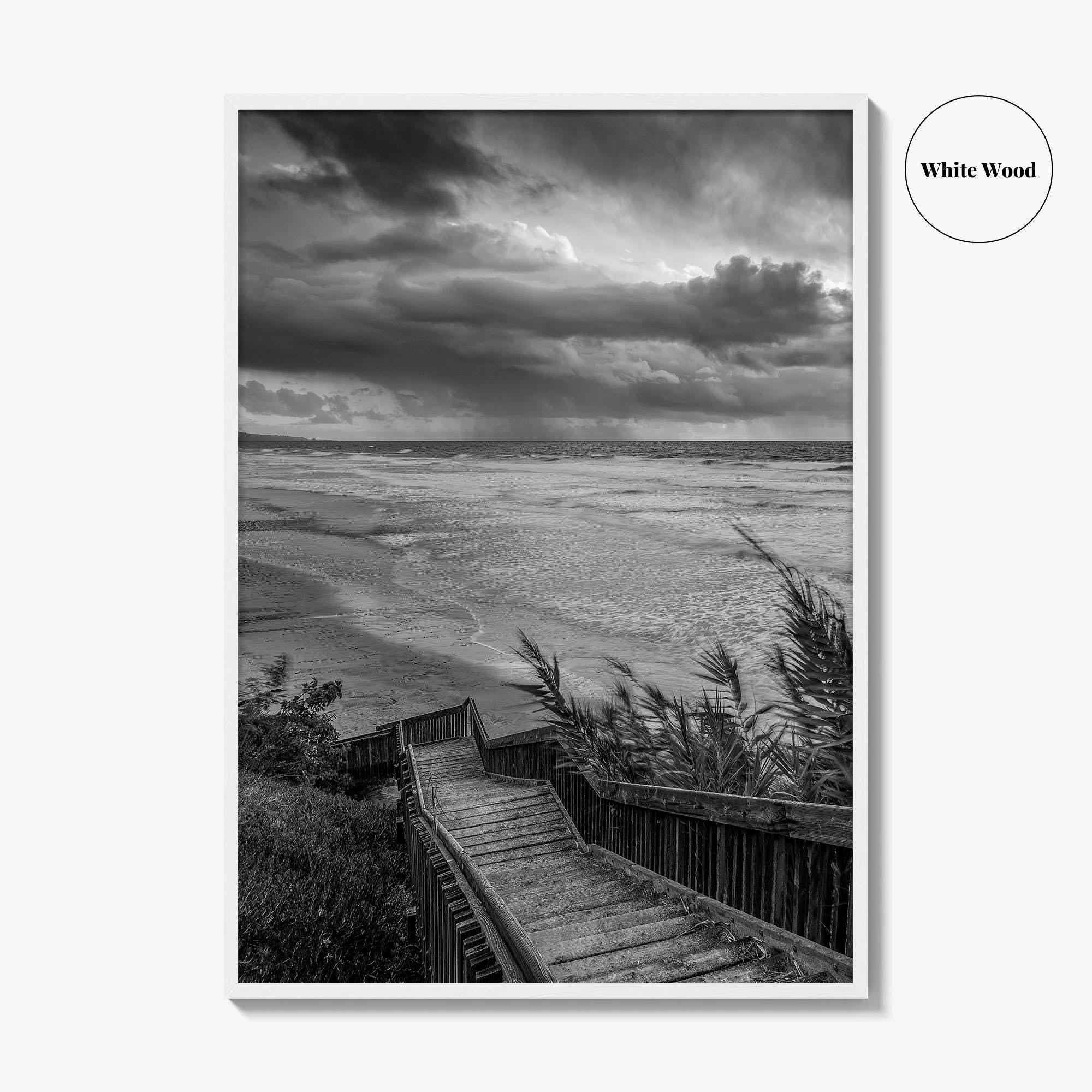 Encinitas Black and White Fine Art Photo Print, San Elijo State Beach, California Poster