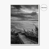 Encinitas Black and White Fine Art Photo Print, San Elijo State Beach, California Poster
