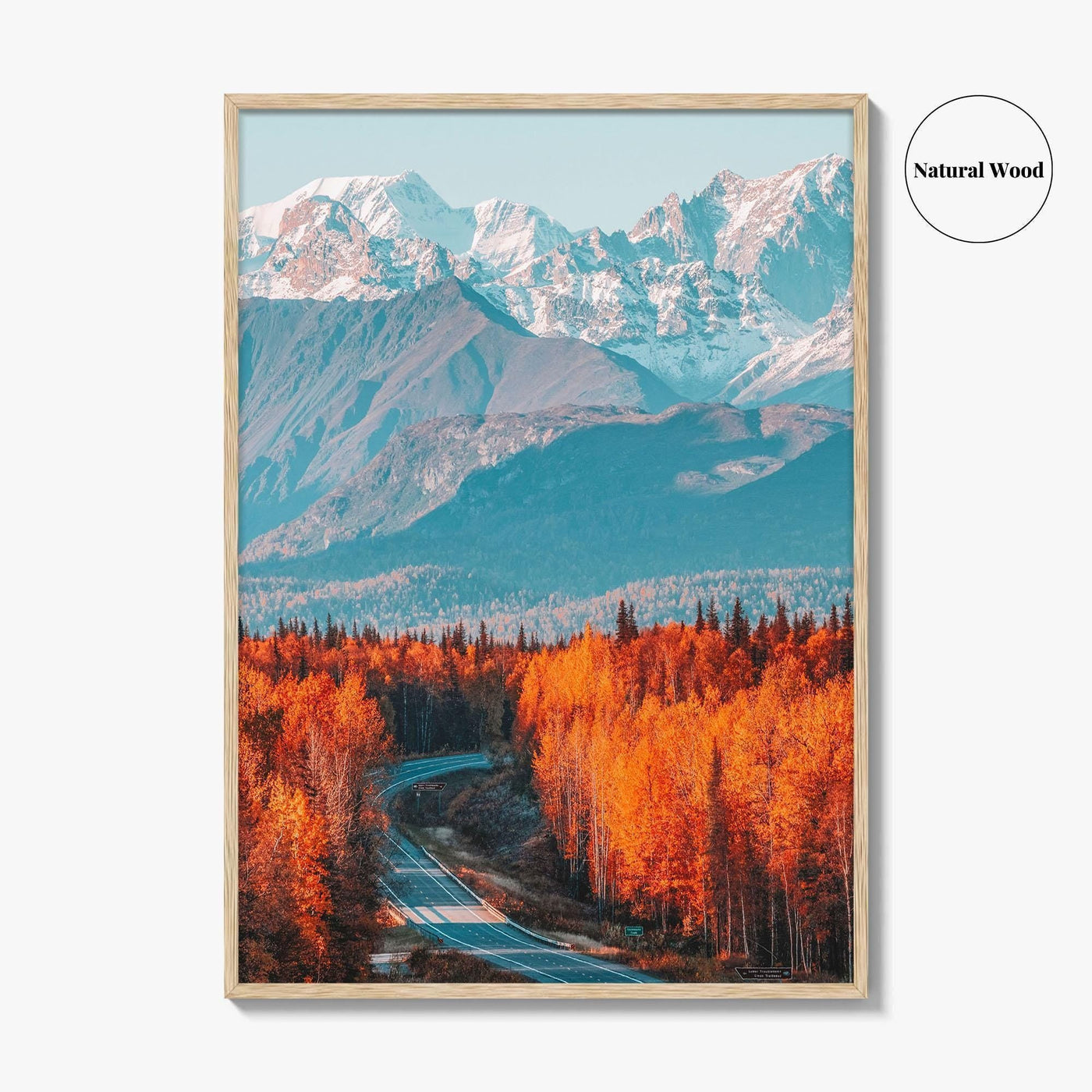 Denali Fine Art Photo Print, Mt Foraker, Alaska Range, Parks Highway, USA Poster