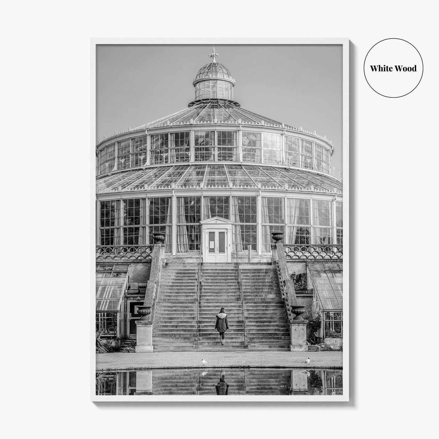 Botanisk Have Black and White Fine Art Photo Print, Copenhagen Botanical Garden Denmark Poster