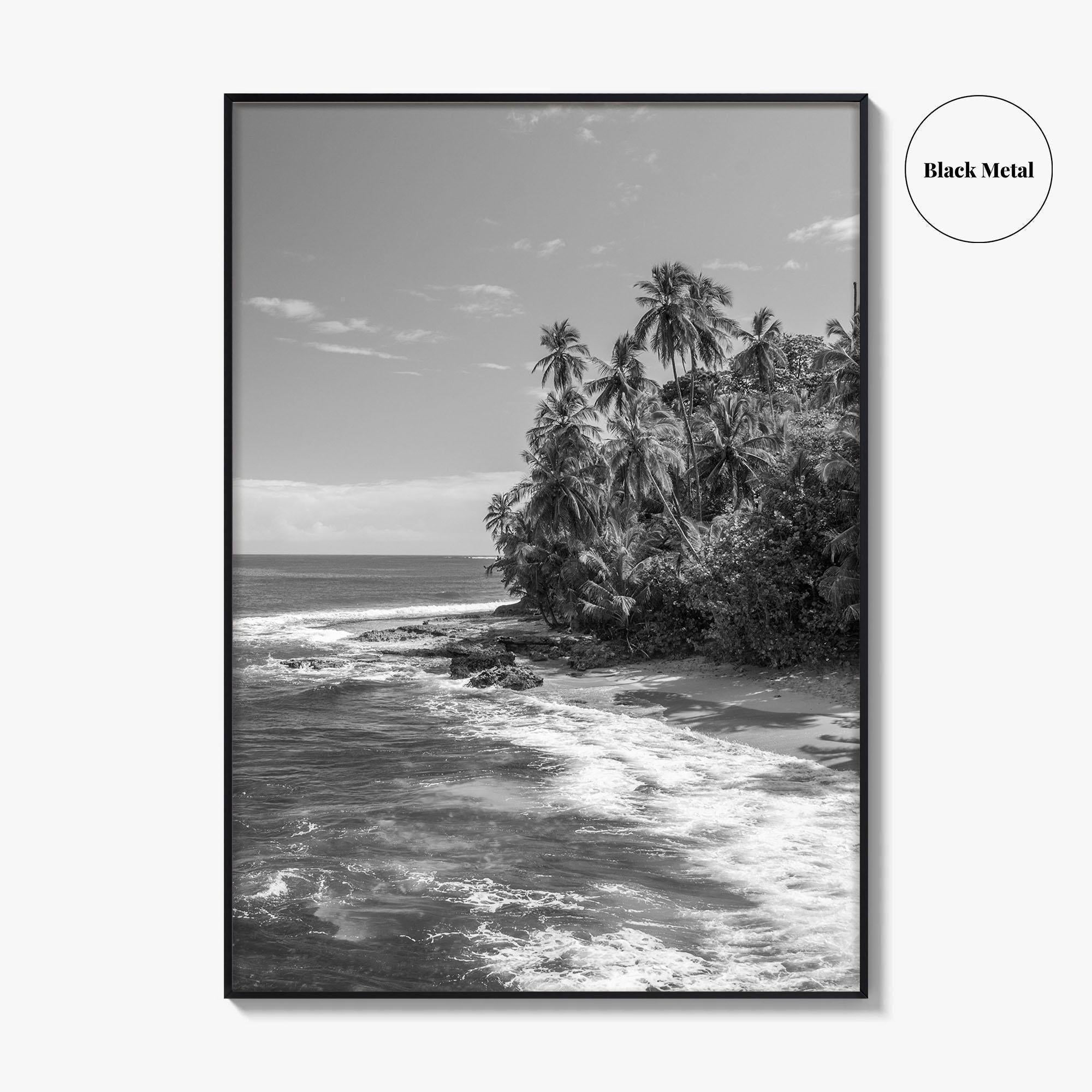 Costa Rica Black and White Fine Art Photo Print, Manzanillo Caribbean Puerto Viejo Poster