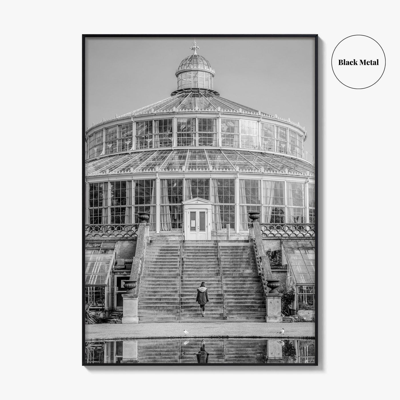 Botanisk Have Black and White Fine Art Photo Print, Copenhagen Botanical Garden Denmark Poster