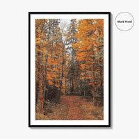 Arrowhead Provincial Park Fine Art Photo Print, Huntsville Ontario Canada, Algonquin Highlands, Wall Poster