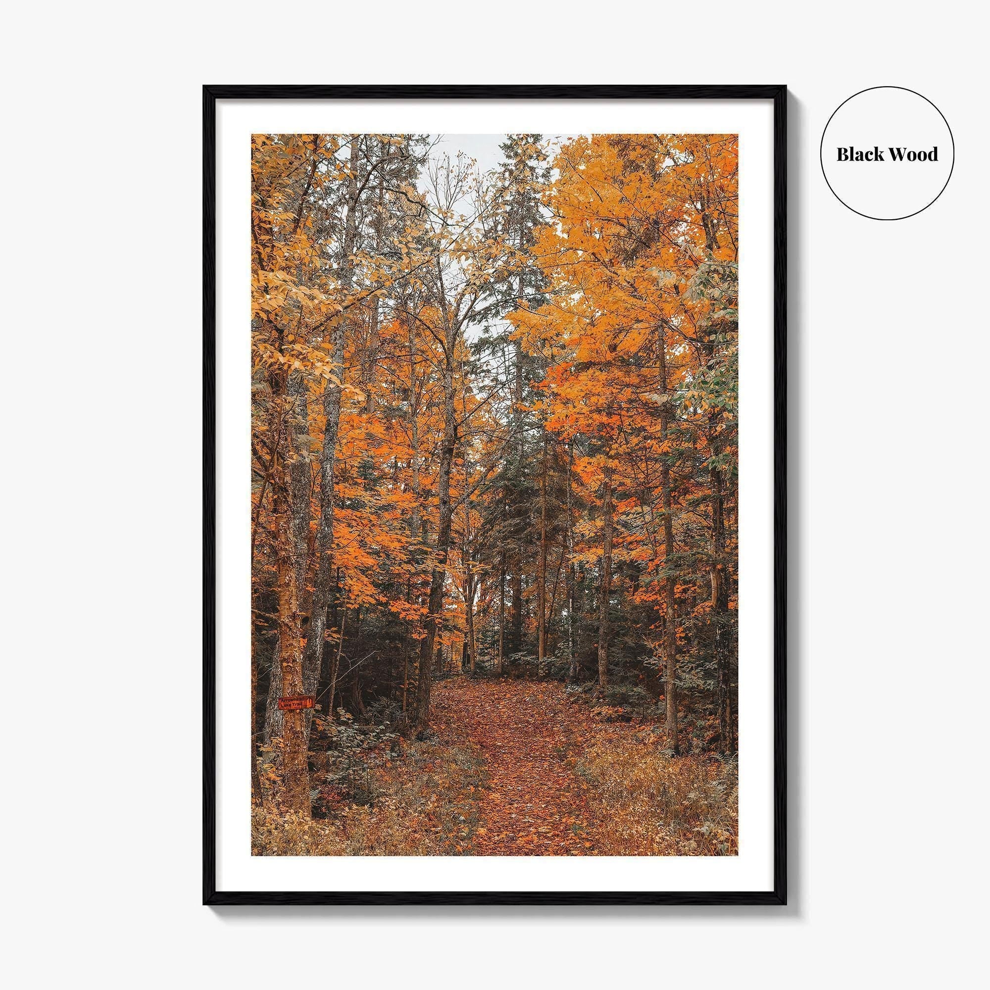 Arrowhead Provincial Park Fine Art Photo Print, Huntsville Ontario Canada, Algonquin Highlands, Wall Poster
