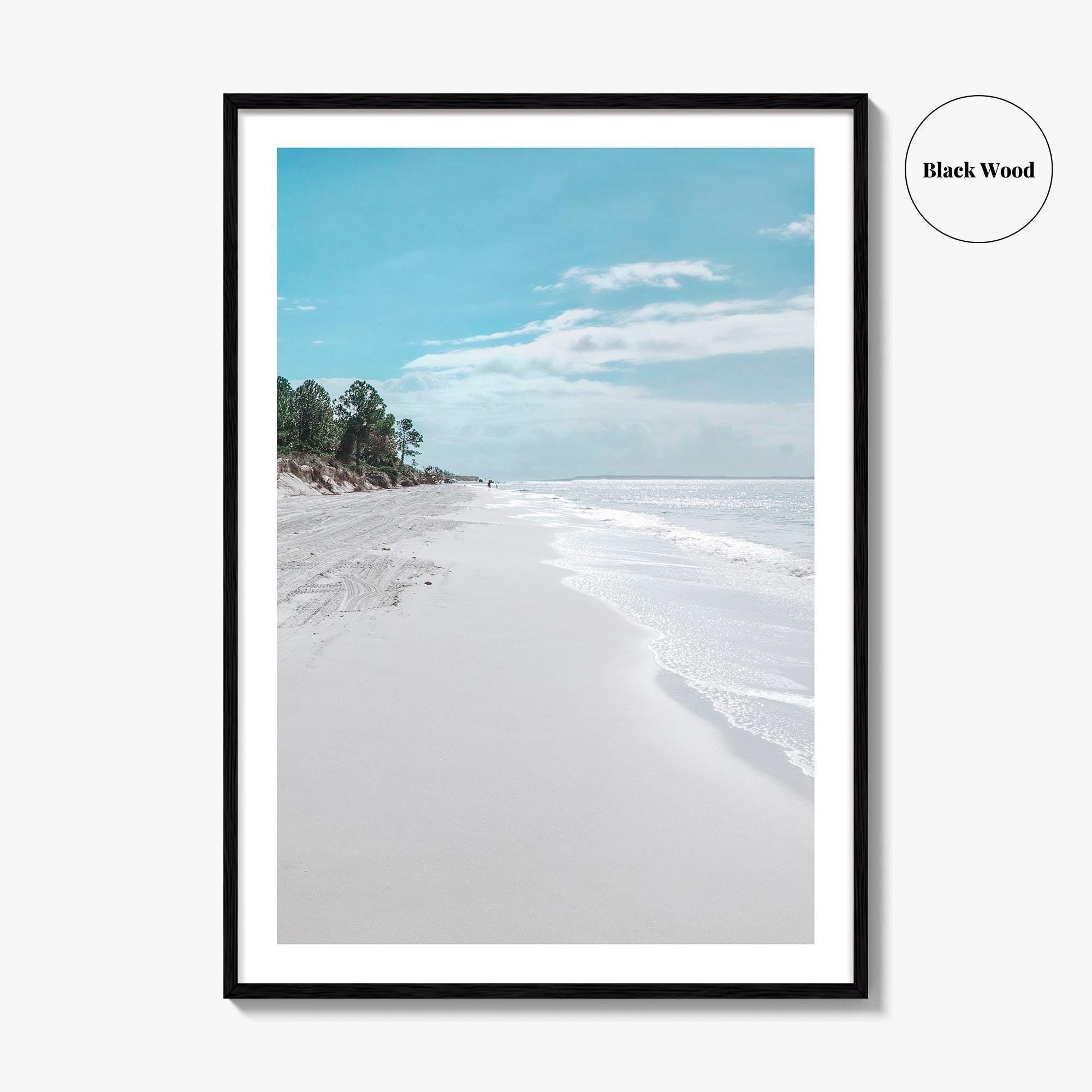 Fernandina Beach Fine Art Photo Print, Amelia Island, Florida, USA, Wall Poster, Coastal Birds
