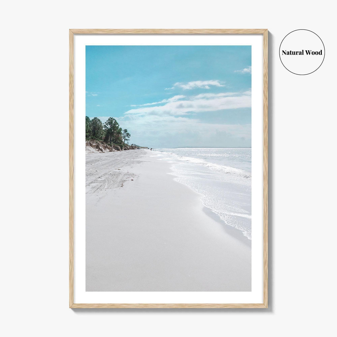Fernandina Beach Fine Art Photo Print, Amelia Island, Florida, USA, Wall Poster, Coastal Birds