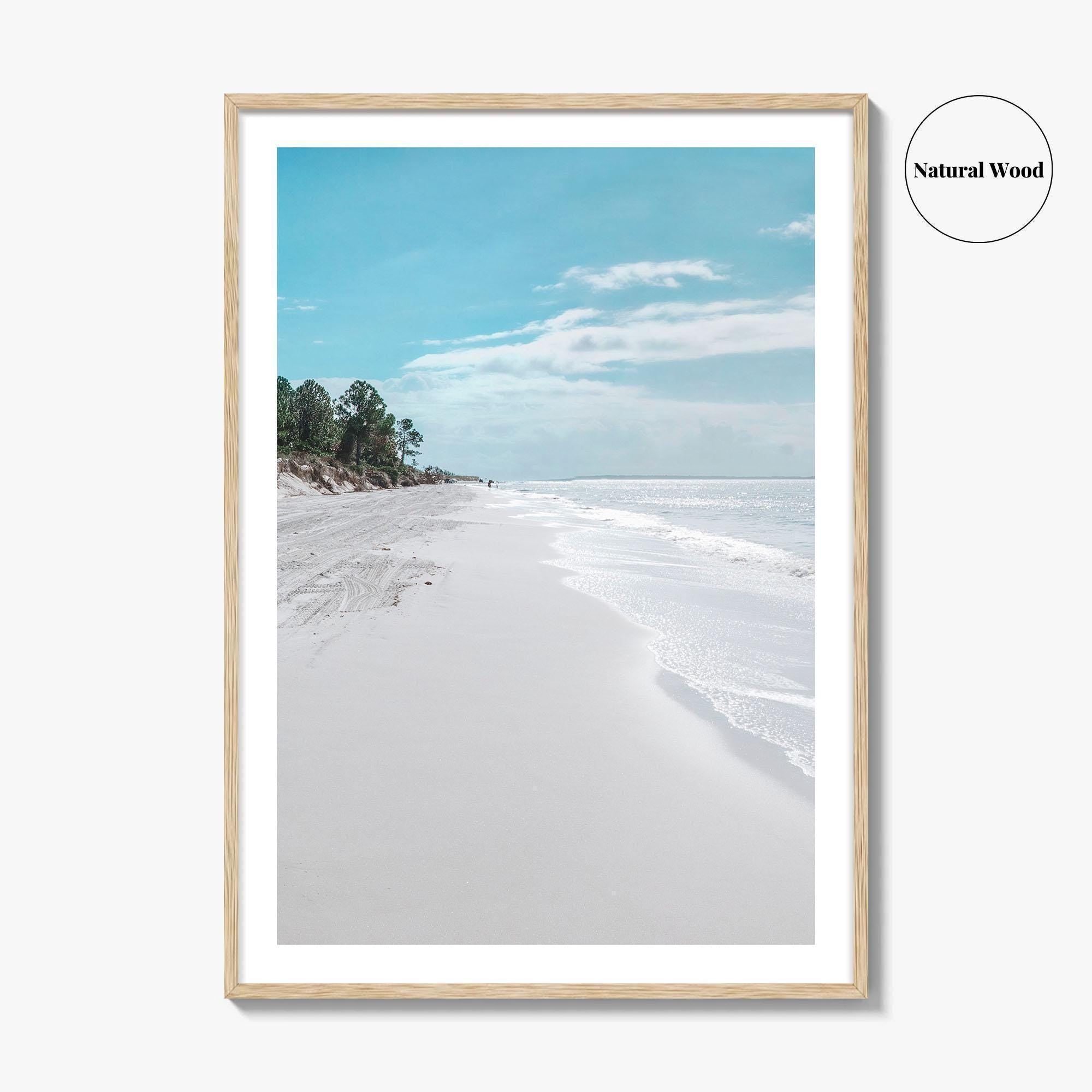 Fernandina Beach Fine Art Photo Print, Amelia Island, Florida, USA, Wall Poster, Coastal Birds