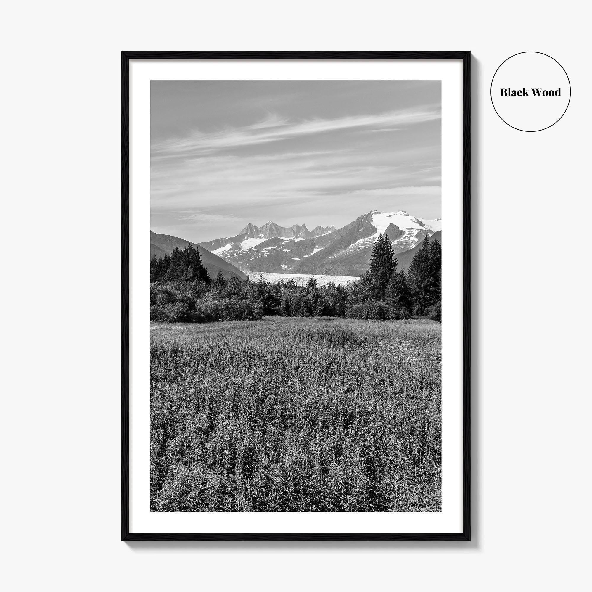 Juneau Black and White Fine Art Photo Print, Mendenhall Glacier Alaska Poster