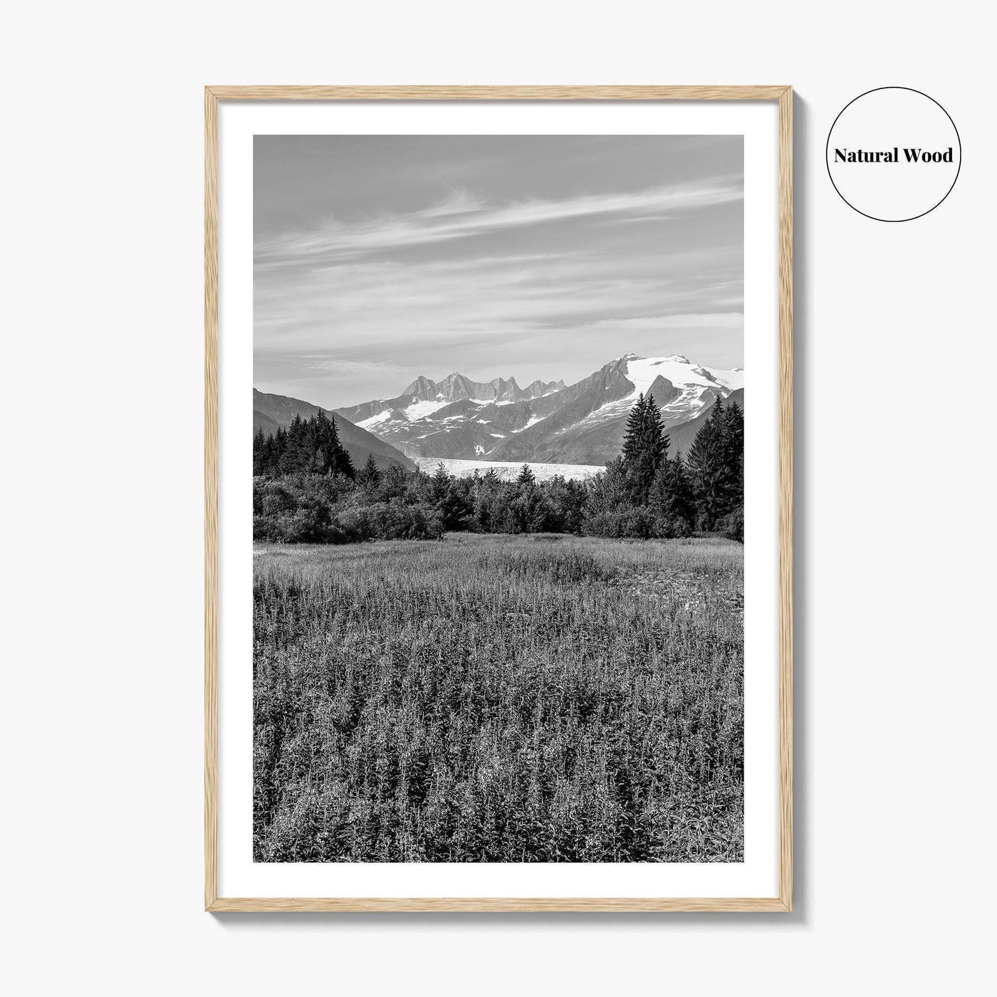 Juneau Black and White Fine Art Photo Print, Mendenhall Glacier Alaska Poster