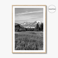 Juneau Black and White Fine Art Photo Print, Mendenhall Glacier Alaska Poster