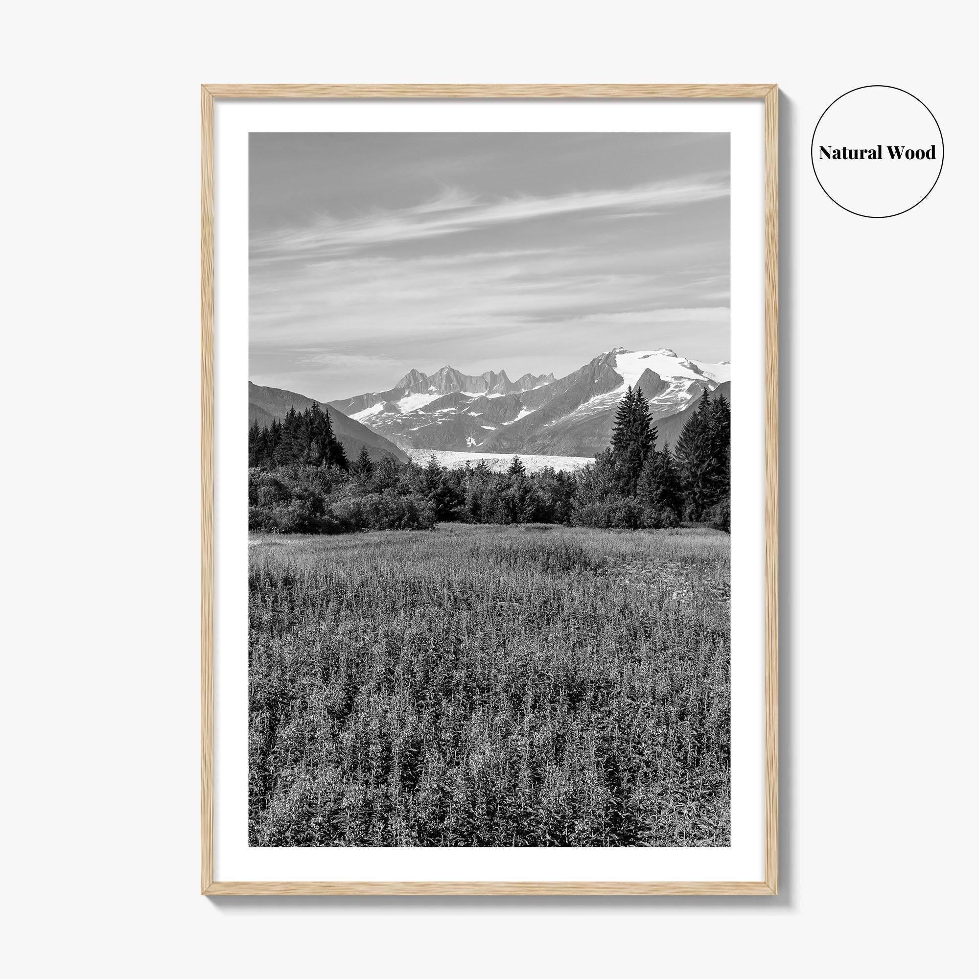 Juneau Black and White Fine Art Photo Print, Mendenhall Glacier Alaska Poster