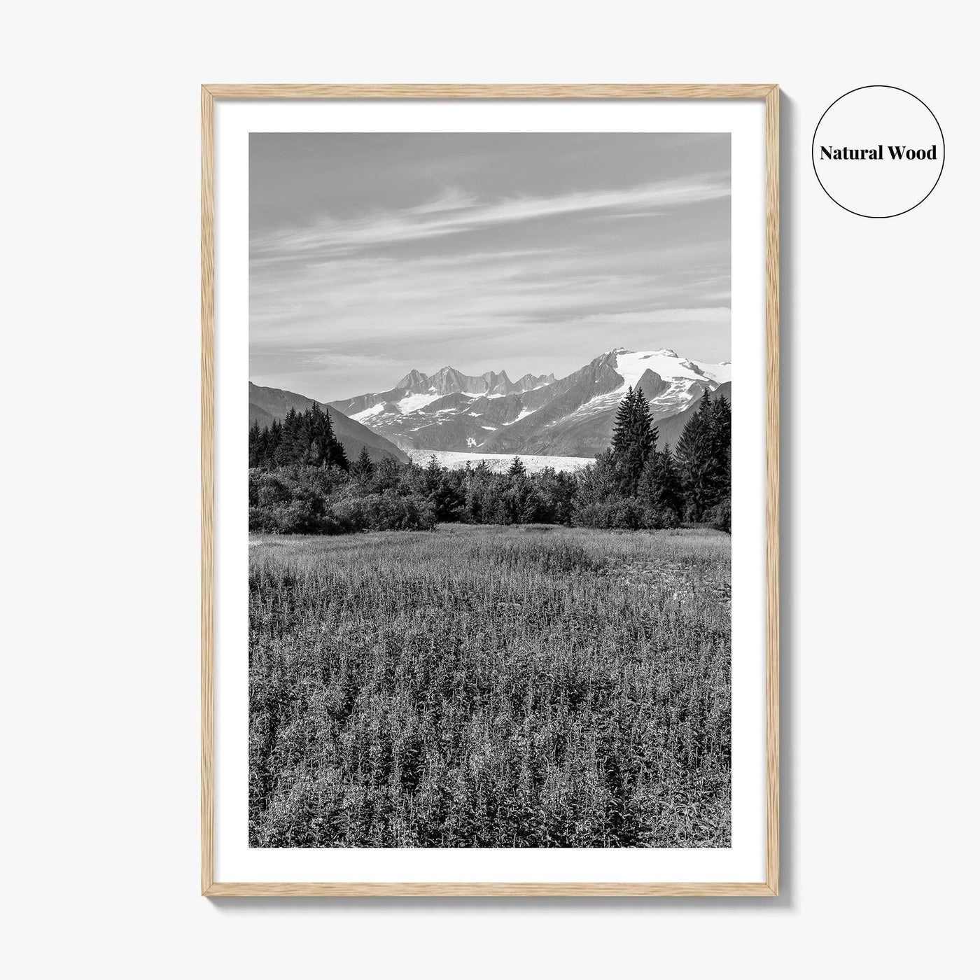 Juneau Black and White Fine Art Photo Print, Mendenhall Glacier Alaska Poster