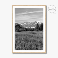 Juneau Black and White Fine Art Photo Print, Mendenhall Glacier Alaska Poster