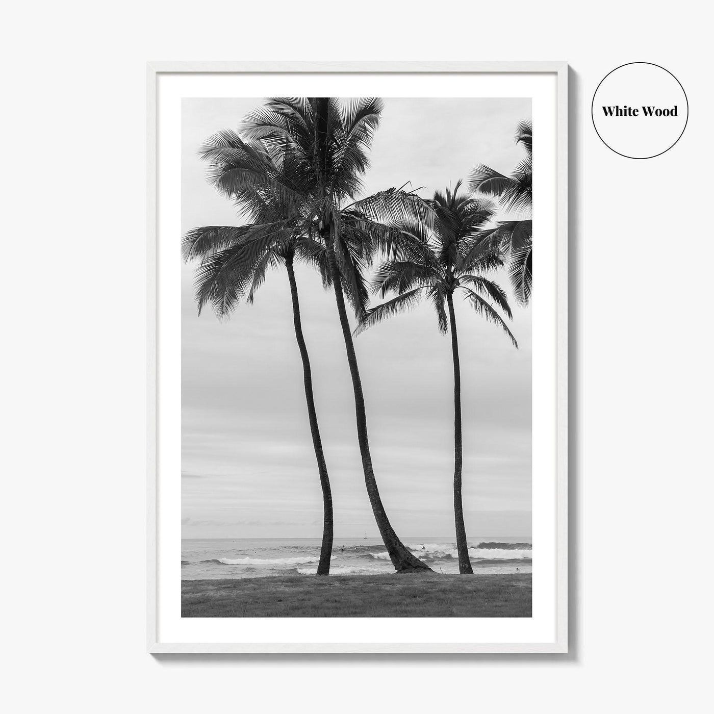 Haleiwa Black and White Fine Art Photo Print, Oahu Palm Trees, Hawaii Poster