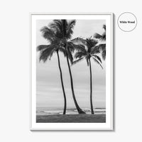 Haleiwa Black and White Fine Art Photo Print, Oahu Palm Trees, Hawaii Poster