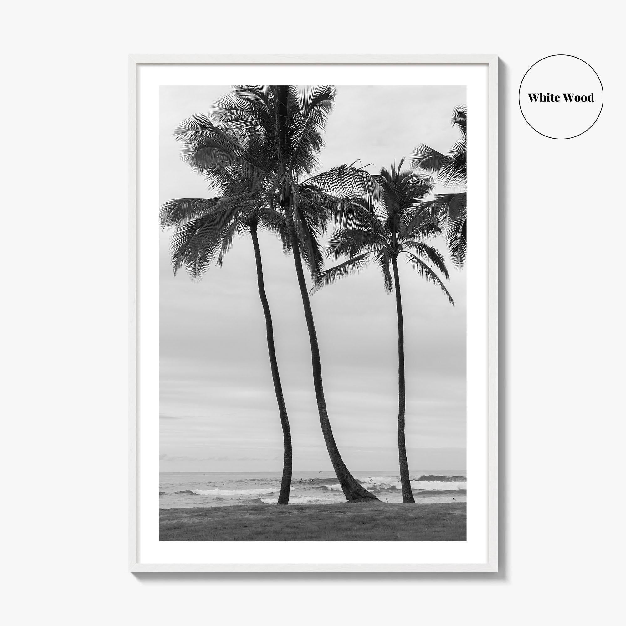 Haleiwa Black and White Fine Art Photo Print, Oahu Palm Trees, Hawaii Poster