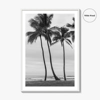 Haleiwa Black and White Fine Art Photo Print, Oahu Palm Trees, Hawaii Poster