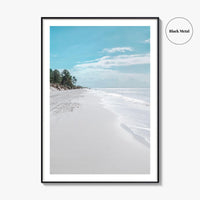 Fernandina Beach Fine Art Photo Print, Amelia Island, Florida, USA, Wall Poster, Coastal Birds