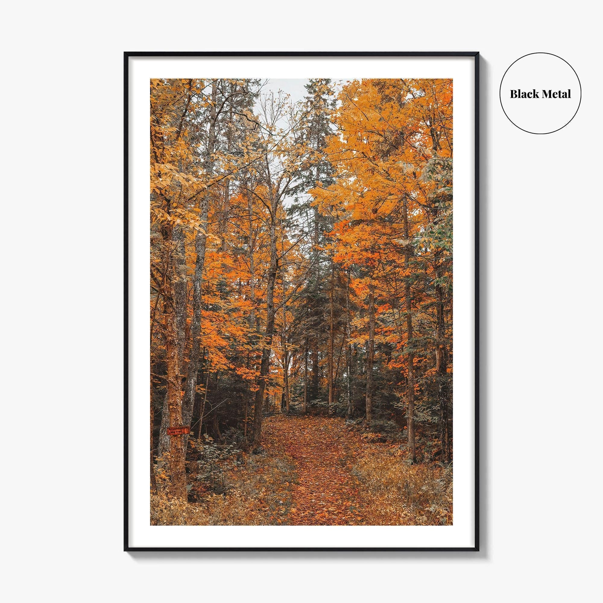 Arrowhead Provincial Park Fine Art Photo Print, Huntsville Ontario Canada, Algonquin Highlands, Wall Poster