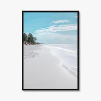 Fernandina Beach Fine Art Photo Print, Amelia Island, Florida, USA, Wall Poster, Coastal Birds